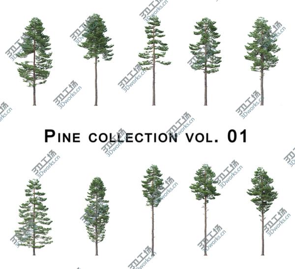 images/goods_img/20210312/Pine Collection Vol. 01/2.jpg
